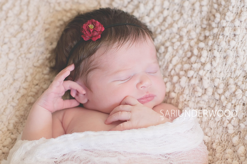 Orlando newborn photography