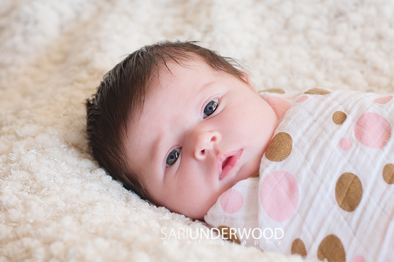 14 days | Orlando newborn photographer