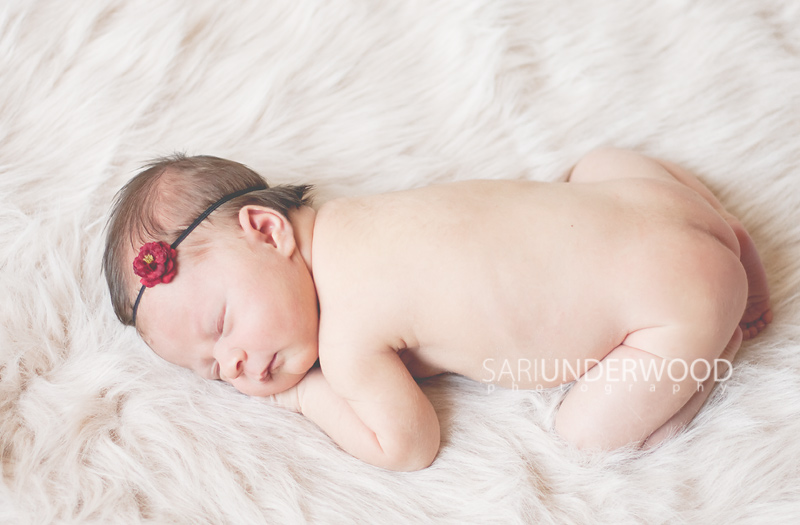 Orlando newborn photographer