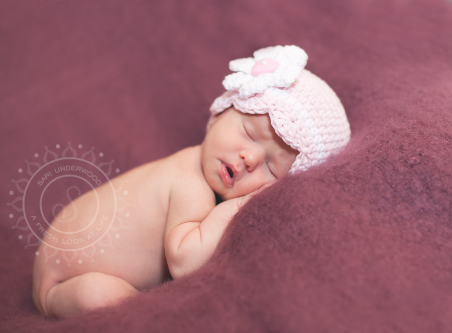 orlando newborn photographer