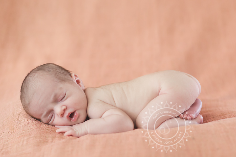 central florida newborn photographer