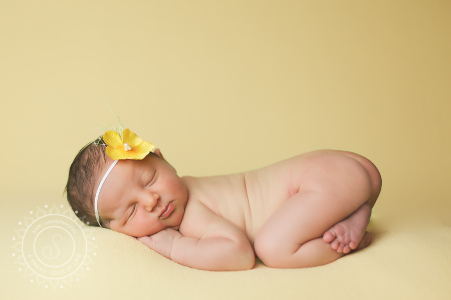 waterford lakes newborn photographer