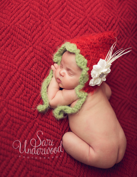 Winter Garden newborn photographer