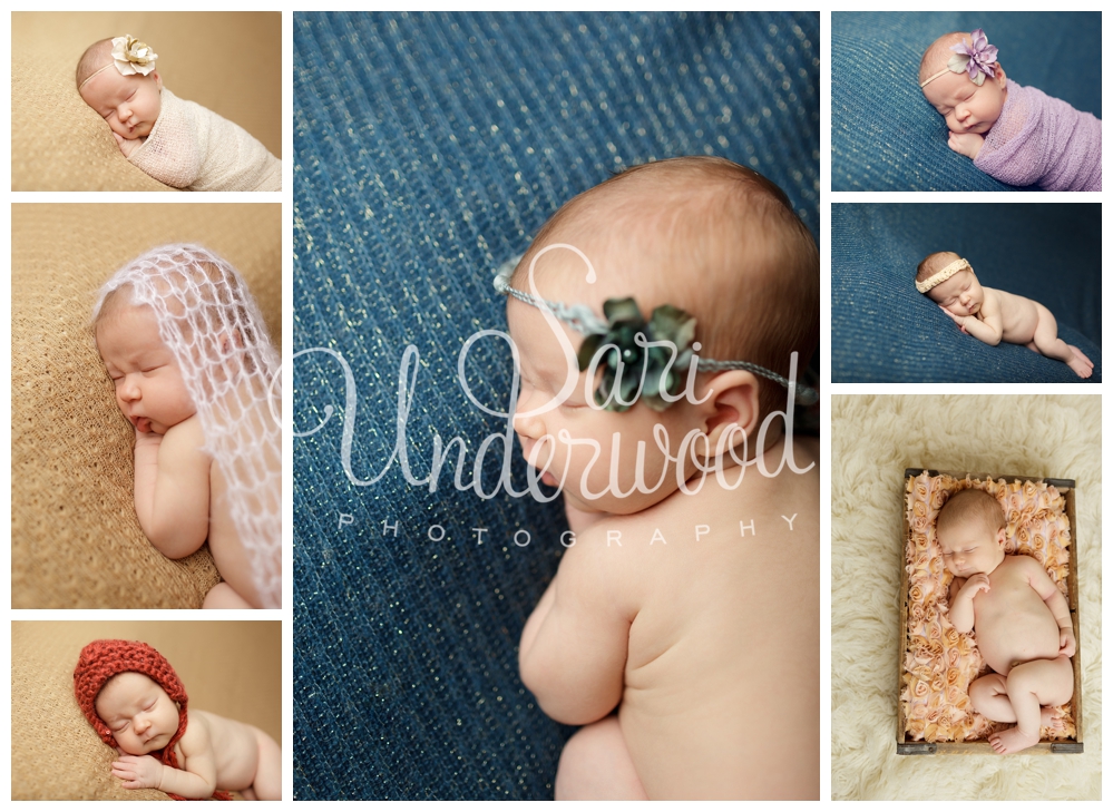 custom newborn portraits orlando