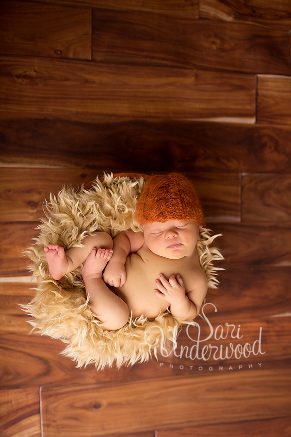 Sari Underwood, Orlando newborn photographer