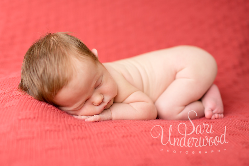 Sari Underwood, Orlando newborn photographer