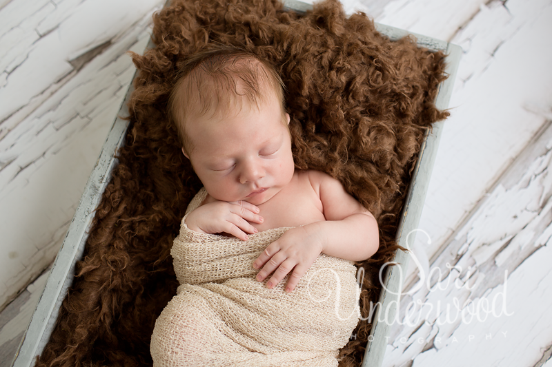 Infant baby portraits in Orland