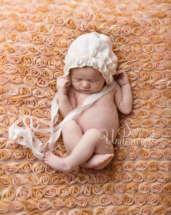 longwood newborn photographer