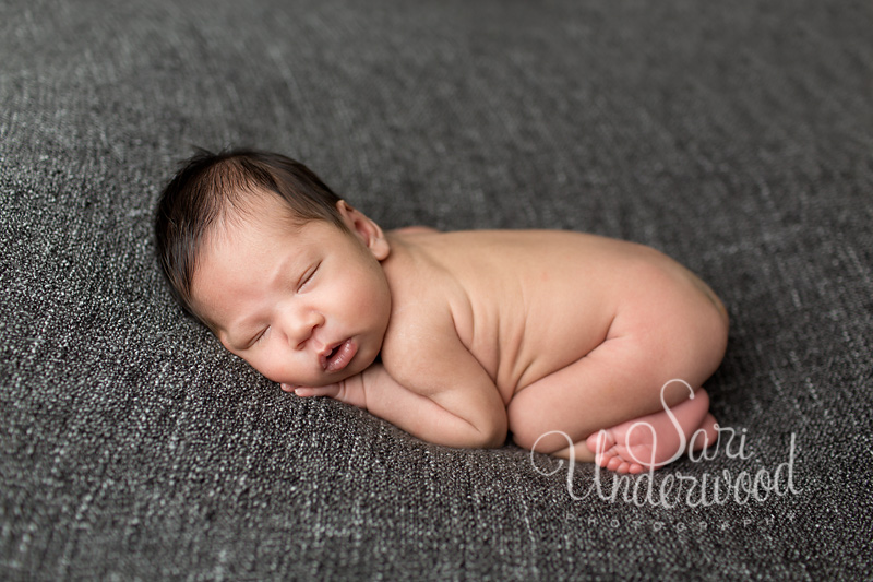 adorable baby boy newborn portraits