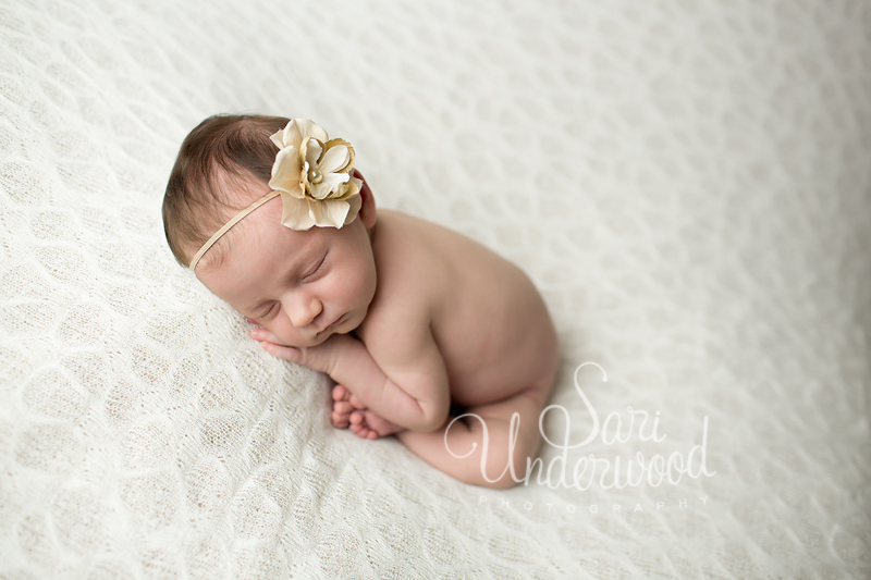 Sweet girl | Winter Park, Florida newborn photographer