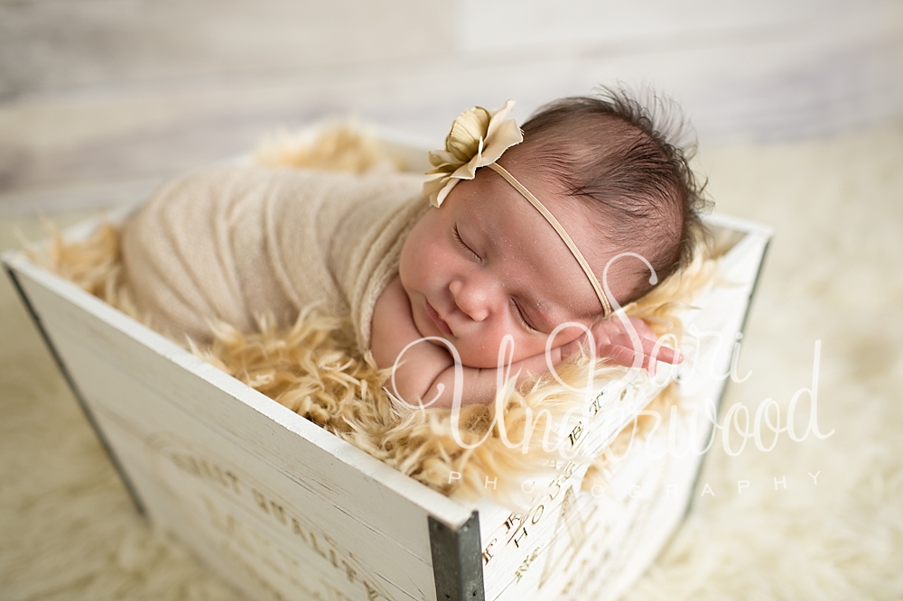 Kissimmee newborn photographer