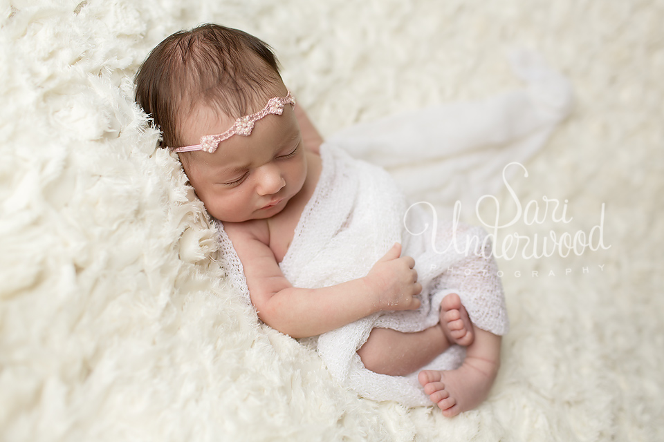 newborn pics orlando