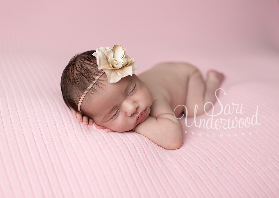 Orlando newborn pictures | Sweet Maria