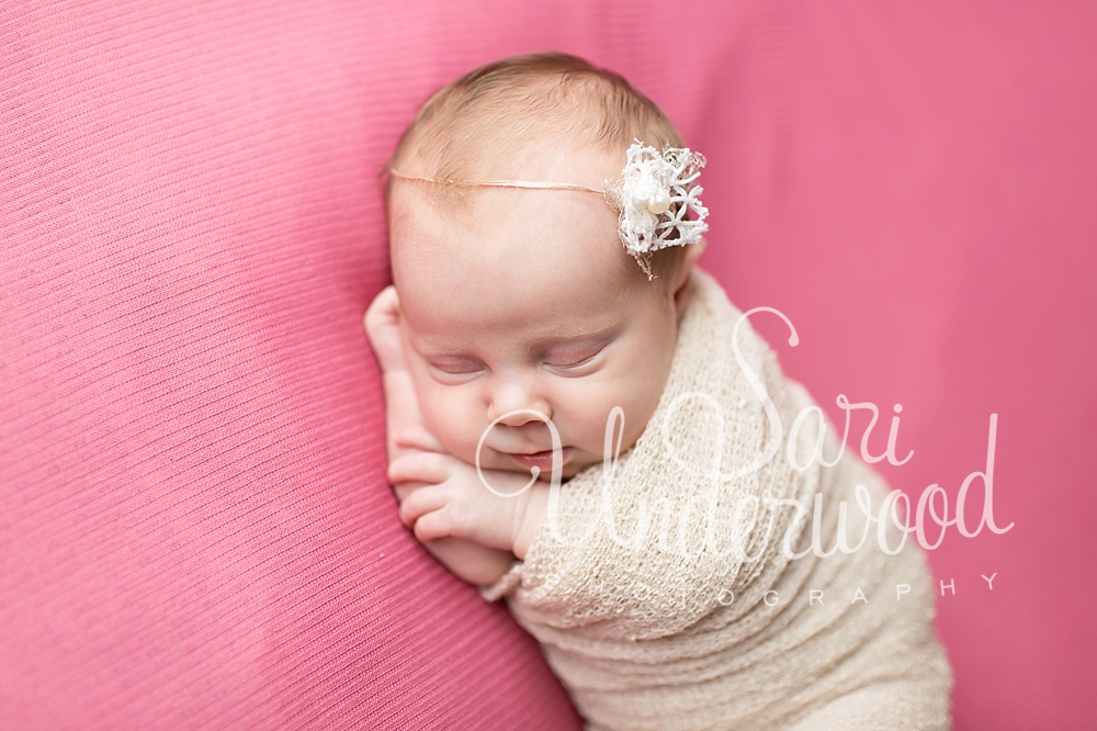 orlando preemie photographer