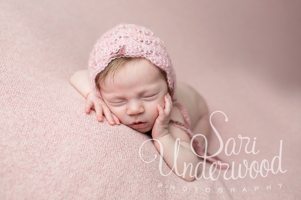 longwood newborn photography