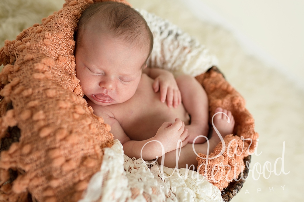 newborn photography orlando