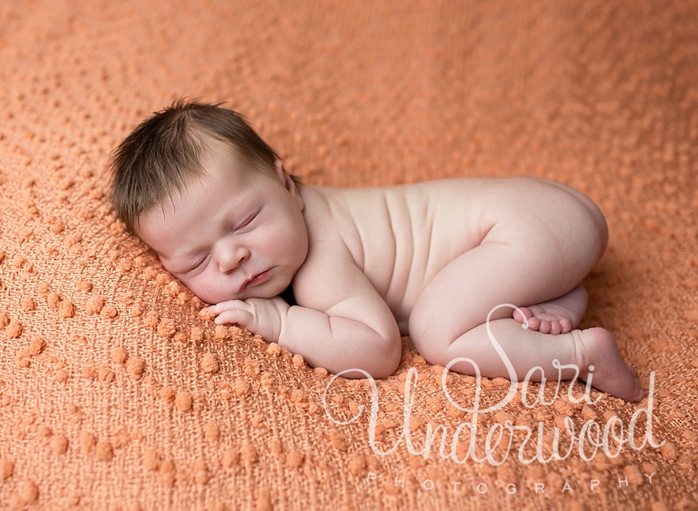 waterford lakes newborn and maternity photography