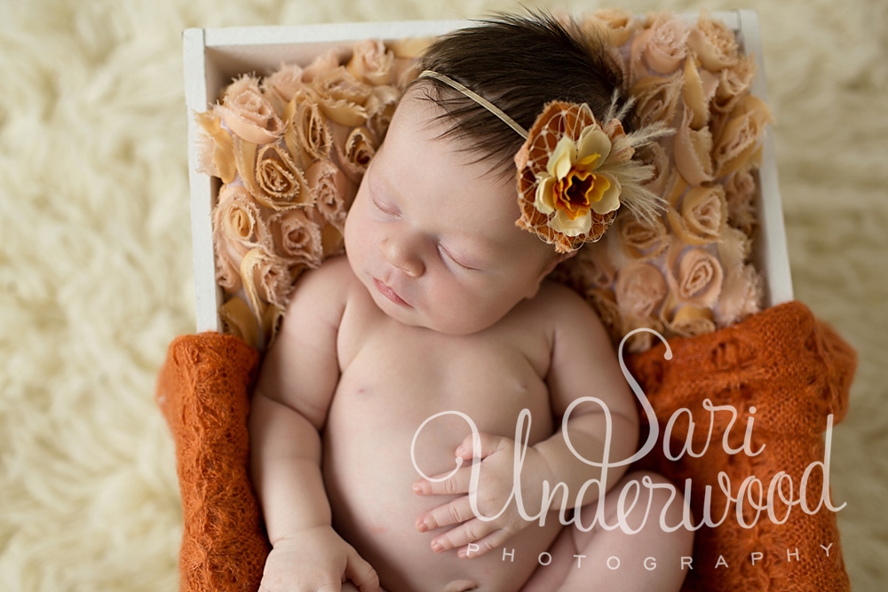 unique newborn photos orlando