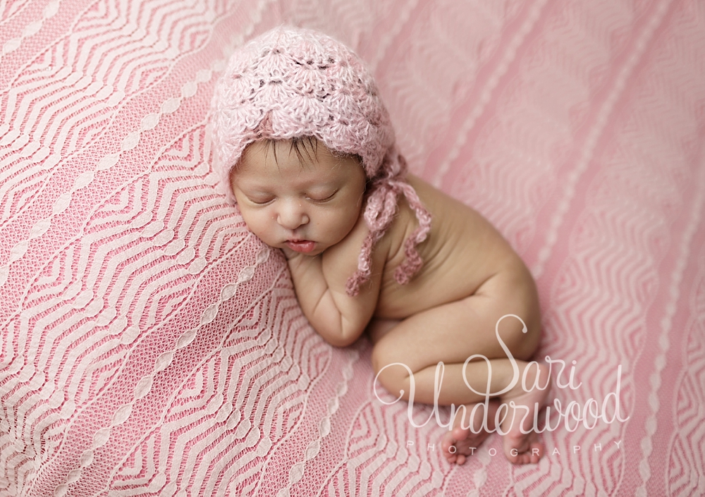 oviedo newborn photography