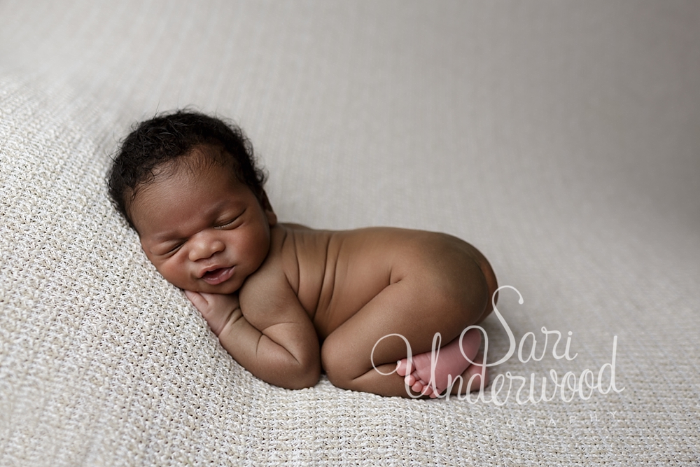 winter haven newborn photography