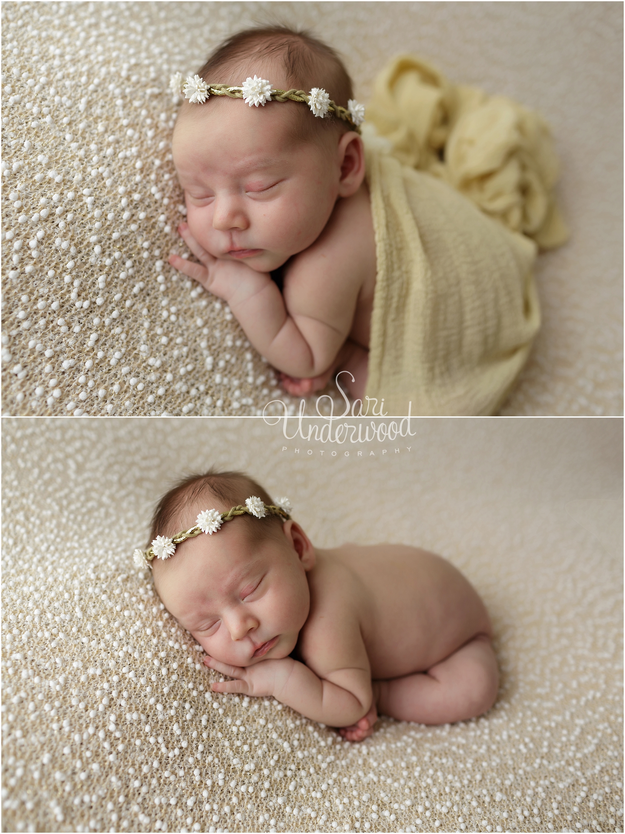 Titusville newborn photographer